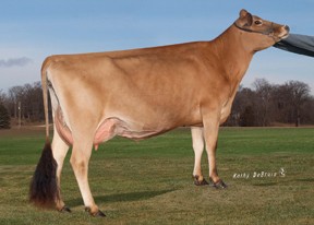 250JE01497 SHOT OF NAT BARNABAS AXEL-ET ჯერსი